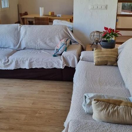 デニア Agradable Casa Con Piscina Privada Y Jardinヴィラ エクステリア 写真