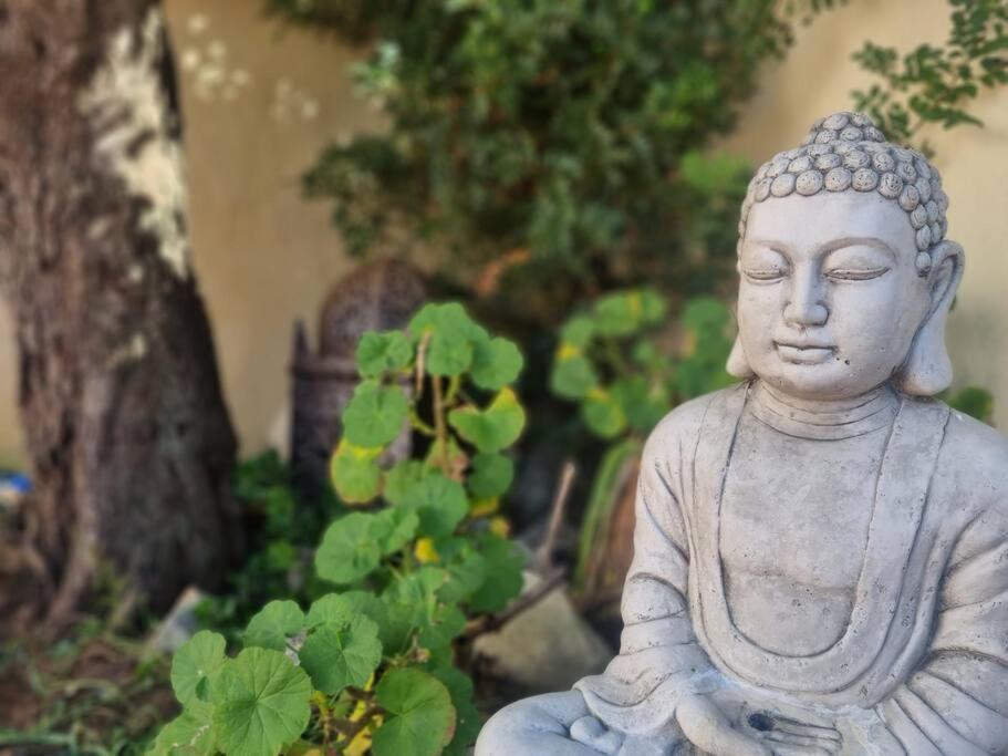 デニア Agradable Casa Con Piscina Privada Y Jardinヴィラ エクステリア 写真
