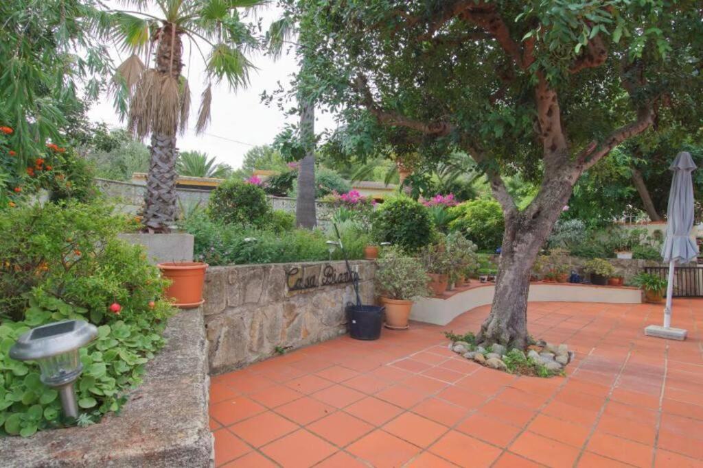デニア Agradable Casa Con Piscina Privada Y Jardinヴィラ エクステリア 写真